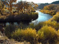 truckee river photo